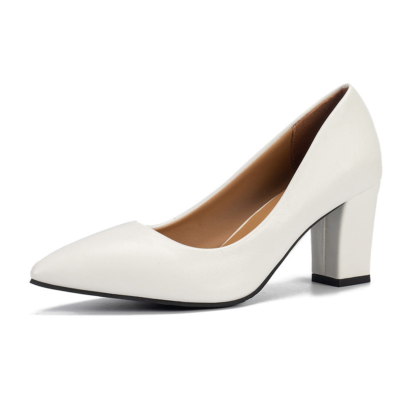 High Heels Women's Pointed Head Shallow Mouth Single Shoes Matte Leather Black Thick Heels